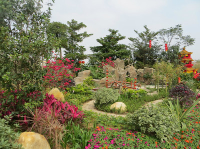 广州园林博览会 白云公园新春盛景，过年期间绝佳去处